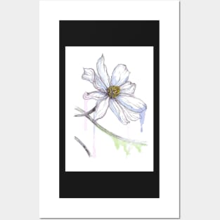 Flower Illustration Posters and Art